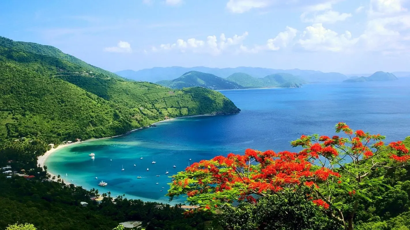 高端全自动高效